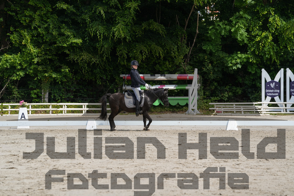 DSC03297 | Julian Held Fotografie - Realisiert mit Pictrs.com