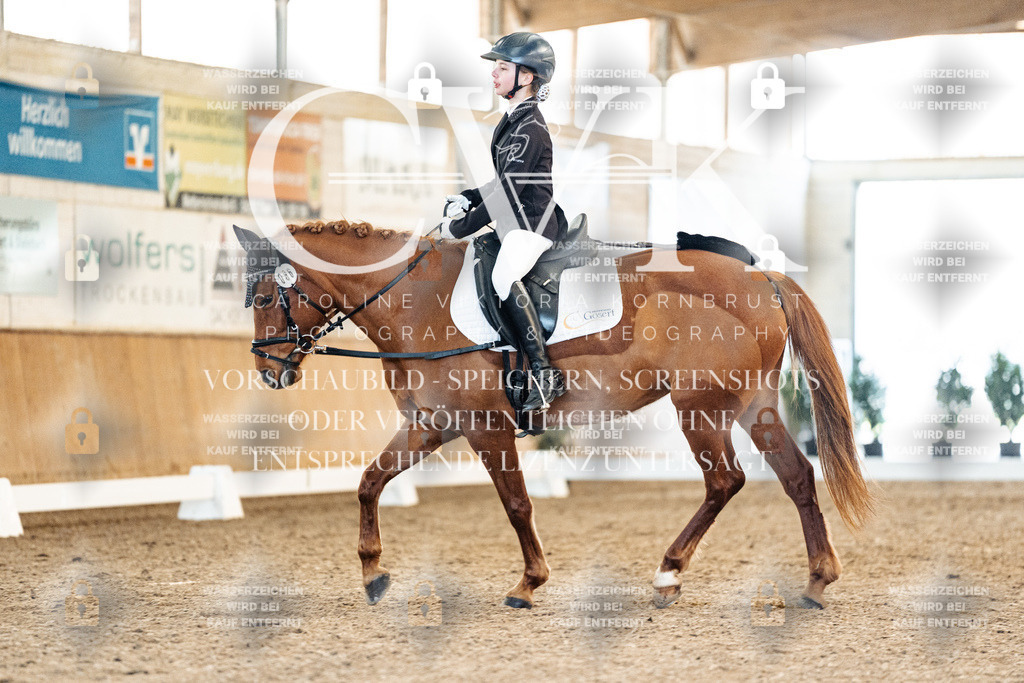 CK907917 | Turnierfotografie Pferdefotografie Trier Rheinland-Pfalz Pferdesport Reitsport Tierfotografie Sportfotografie Pferdevideo Pferdevideografie Equestrianvideography equestrianphotography  - Realisiert mit Pictrs.com