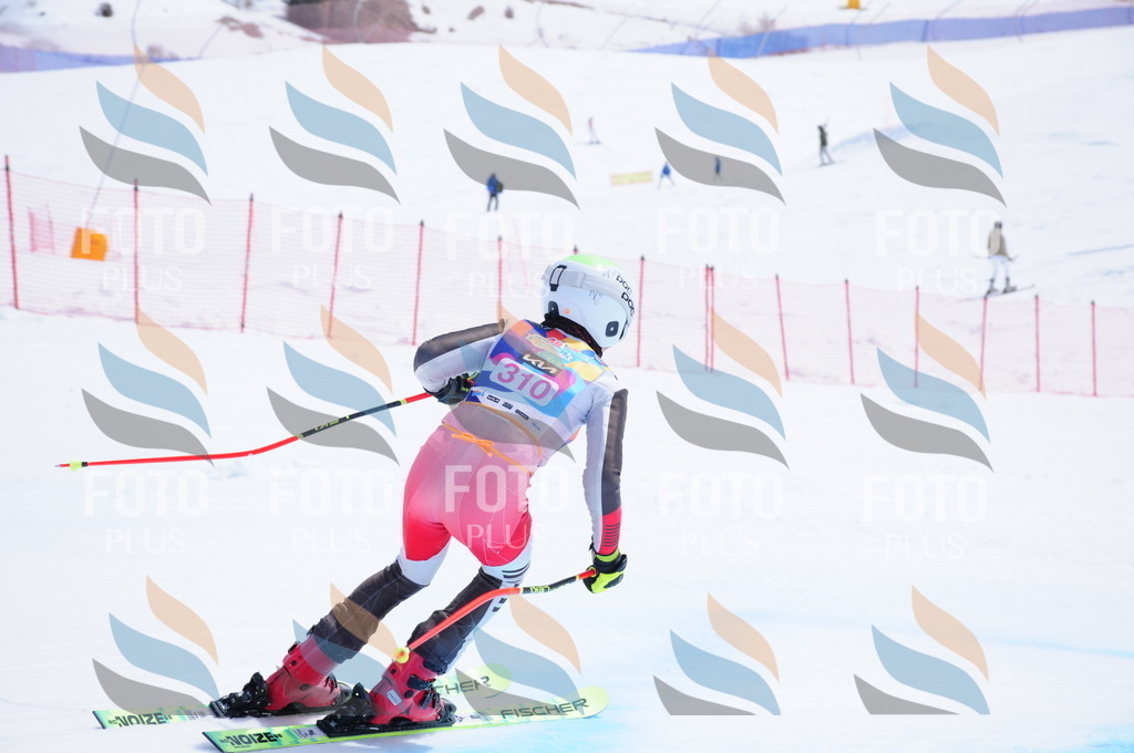 DSC_6758 | holidayphoto