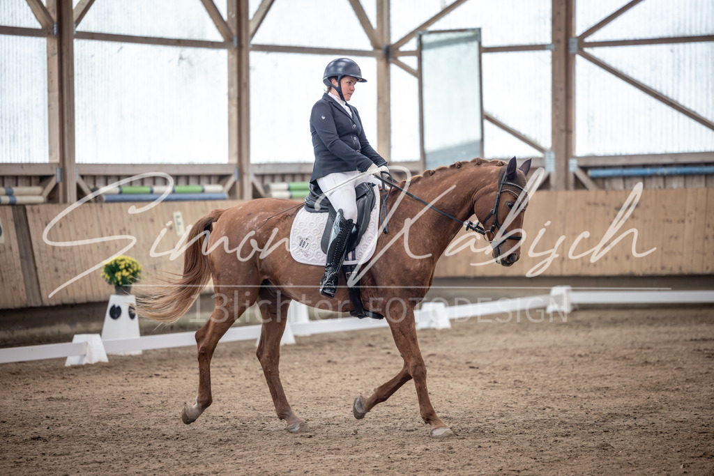 20251011-_3LI9517 | Tierfotografie Pferde, Hunde, Katzen, Haustiere.
Turnierfotografie Reitturniere, Reiten, Springreiten, Dressur in Hanau, dem Main-Kinzig-Kreis und dem Rhein-Main- Gebiet um Frankfurt
