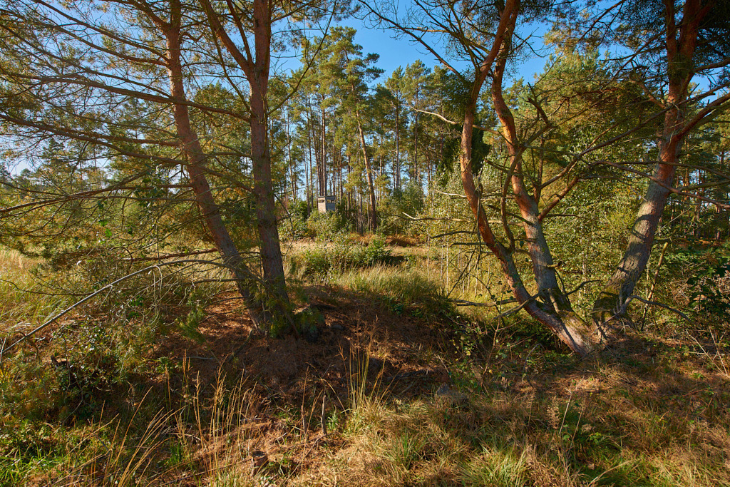 Der Schlottengraben in den Schlottenwiesen 03 | Bedeutsame Landschaften Deutschlands - Realisiert mit Pictrs.com