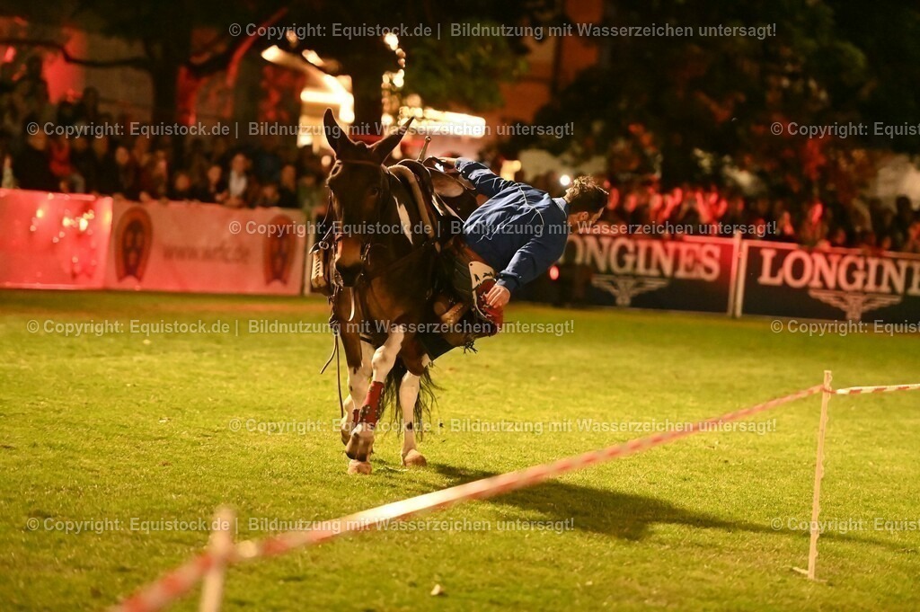 20230526_Pferdenacht_1215 | equistock