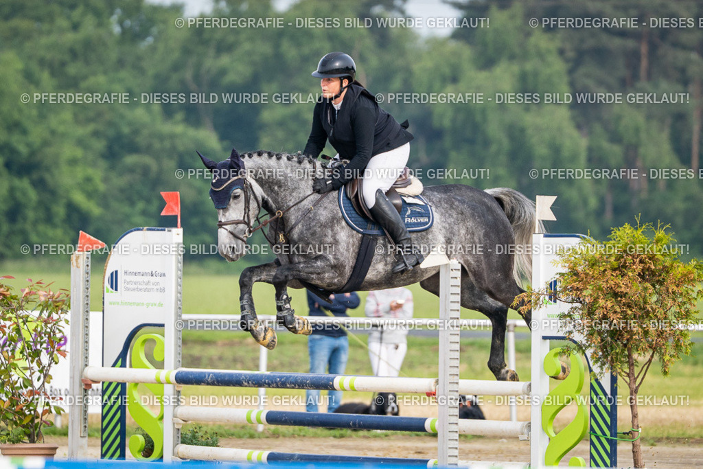 DSC08867 | Pferdegrafie