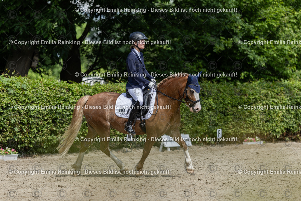 CL5A0363 | Emilia Reinking Fotografie - Realisiert mit Pictrs.com