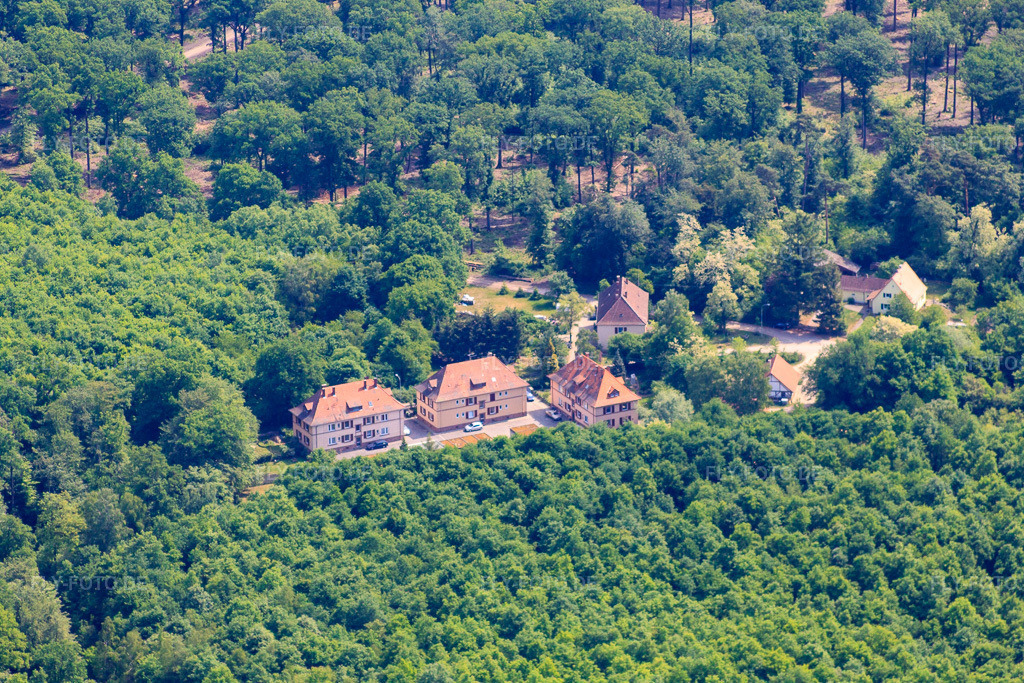 Luftbild: Wohnsiedlung in der Seufzerallee 4 in Scheibenhardt im Bundesland Rheinland-Pfalz in Deutschland. Foto: IMG_40872.jpg vom 08.05.2011 durch Werner Riehm/FLY-FOTO.de
