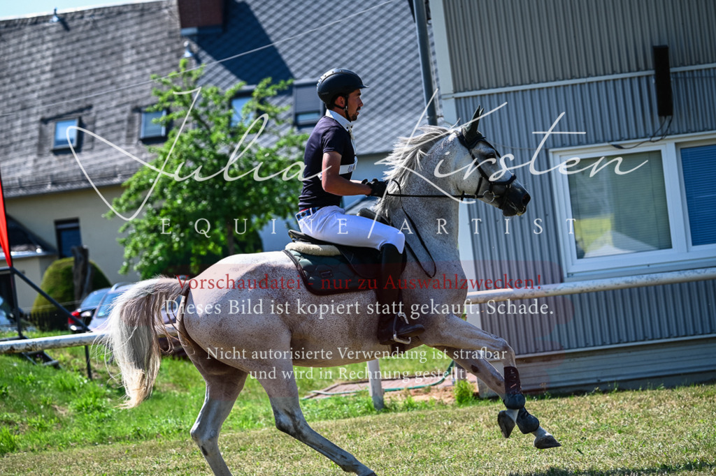 DSC_1133 | Pferde- und Turnierfotografie in Westsachsen. Pferdeportraits, Auftragszeichnungen und intuitive Kunst.