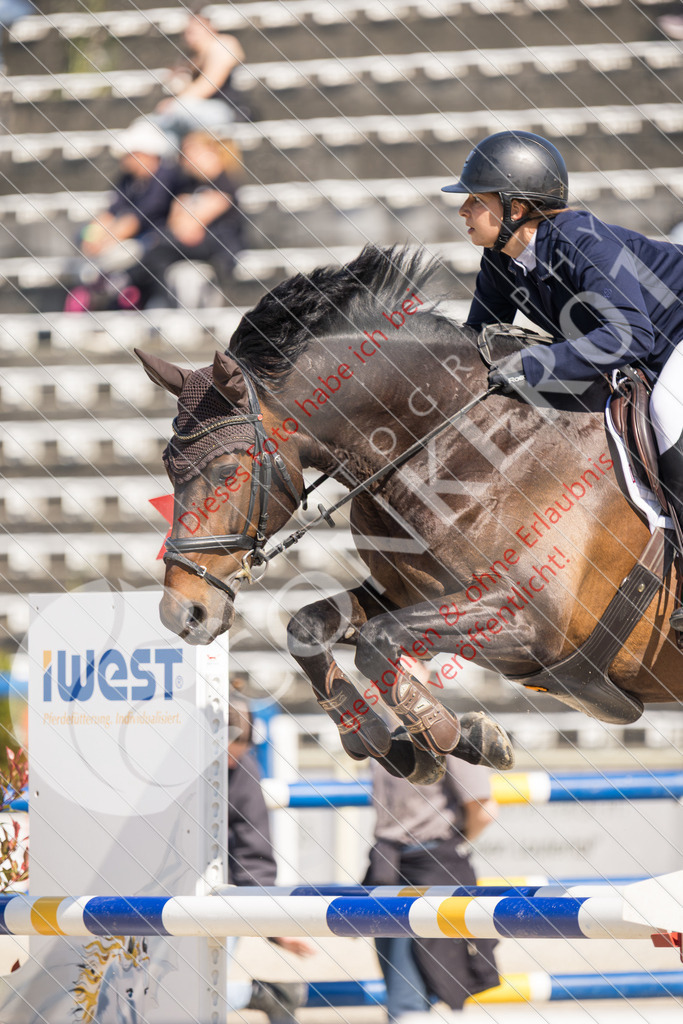 IMG_4105 | Sport-, Event- und Tierfotos in Profiqualität. Einfach auswählen, bestellen und herunterladen. Dein Moment – perfekt festgehalten.