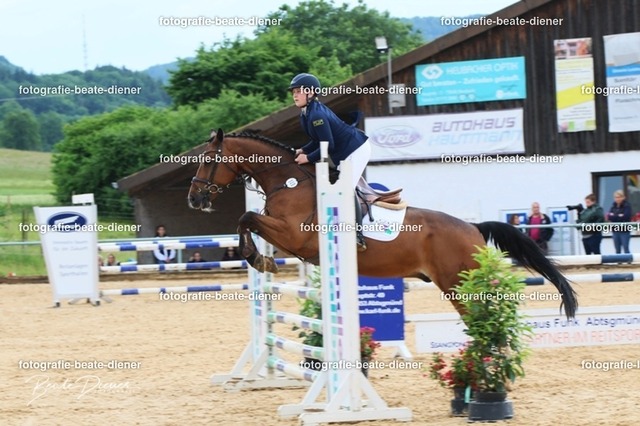 OHT1701 | Fotografie, Tiere, Hunde, Katzen, Pferde, Sportfotografie, Fotosession, Tierfotografie, Turnierfotografie, Fotografin, Fotograf - Realisiert mit Pictrs.com