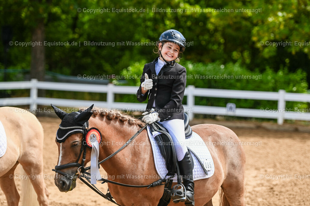 20230716_10-3_Reiter-WB Schritt - Trab - Galopp_0234 | equistock