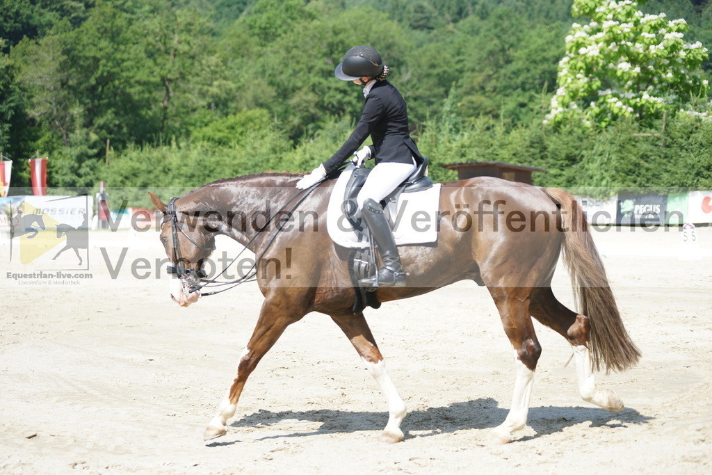 DSC04695 | equestrian-live-com