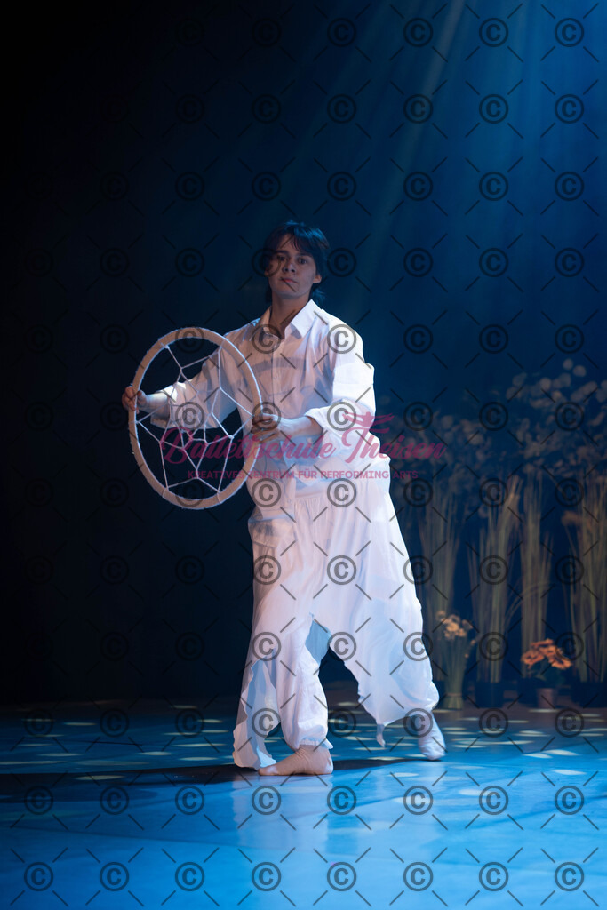 Ballettaufführung-1179 | Bildershop Lem'n Entertainment - Realisiert mit Pictrs.com
