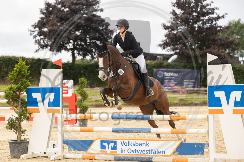 994A7777 | sabrinanicolaifotografie - Realisiert mit Pictrs.com