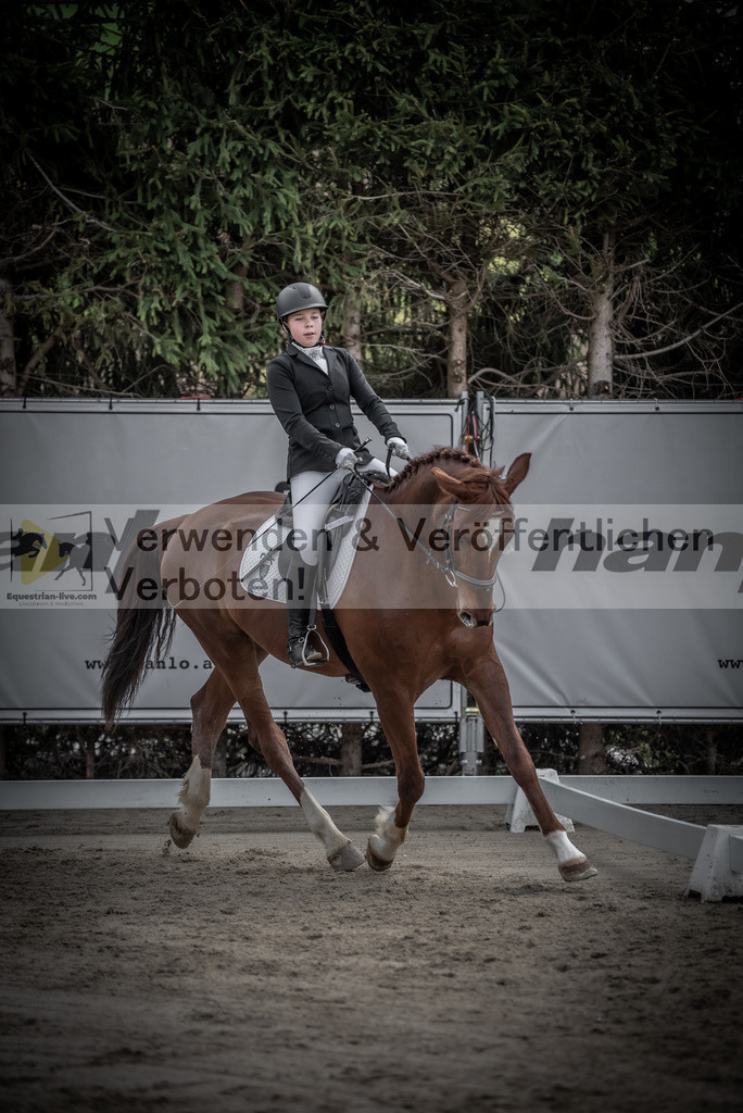 DSC_8928 | equestrian-live-com
