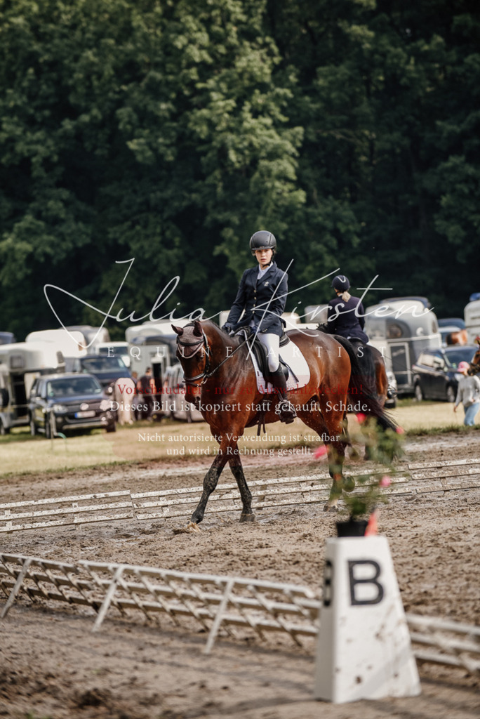 DSC_8668 | Pferde- und Turnierfotografie in Westsachsen. Pferdeportraits, Auftragszeichnungen und intuitive Kunst.