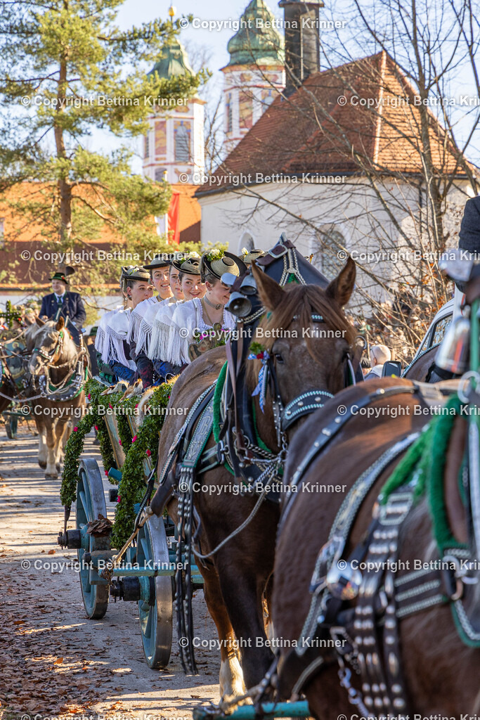 LBT25-1002 | foto-bettina-krinner - Realisiert mit Pictrs.com