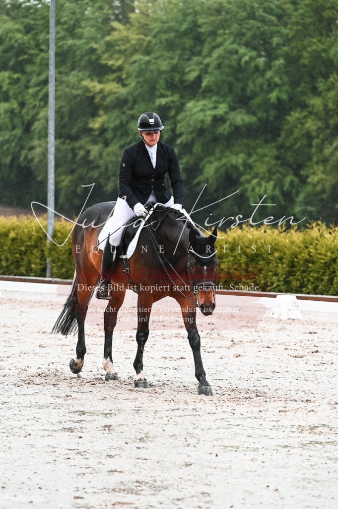 DSC_4554 | Pferde- und Turnierfotografie in Westsachsen. Pferdeportraits, Auftragszeichnungen und intuitive Kunst.