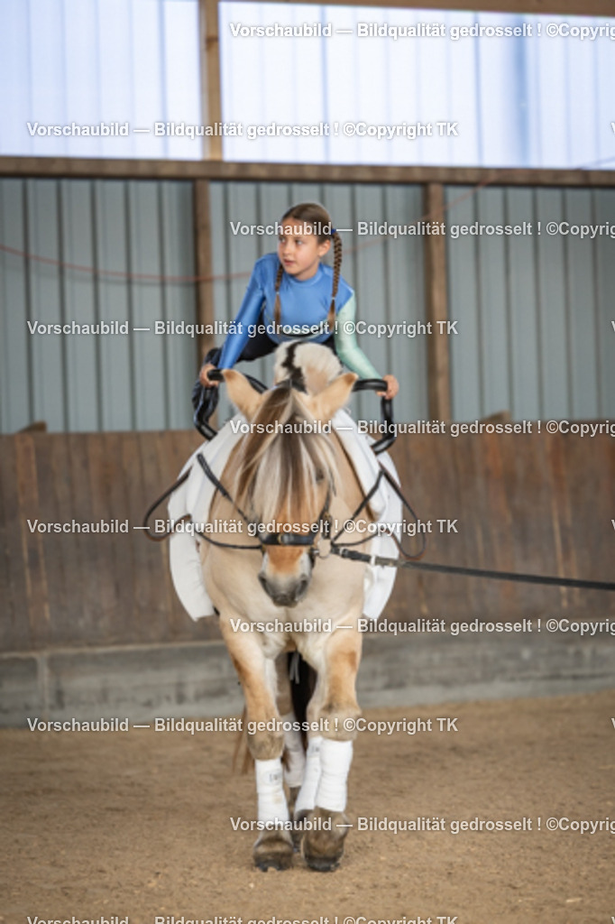_D5A6588 | Emotionale Pferde- & People-Fotografie rund um Heidelberg, Leimen & Umgebung. Natürliche Fotos von Pferd, Mensch & Familie. Jetzt Termin sichern!