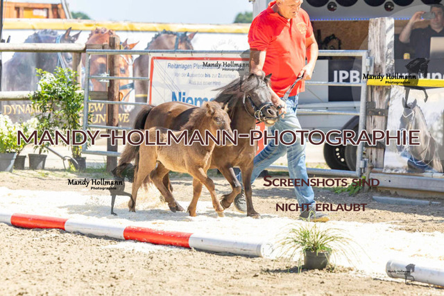 _MG_0660 | mandyhollmannphotographie