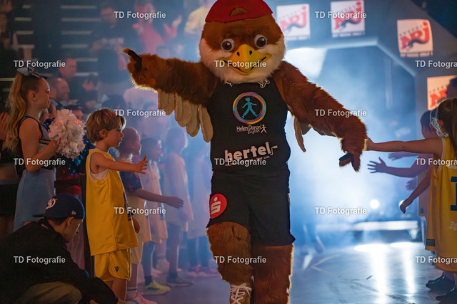 nbg_falcons-03737 | Fotogalerie von Thomas Dettweiler mit Eventbildern und lizenzfreien Fotos. Perfekt als Wandbild, für Büro, Website oder private Nutzung. - Realisiert mit Pictrs.com