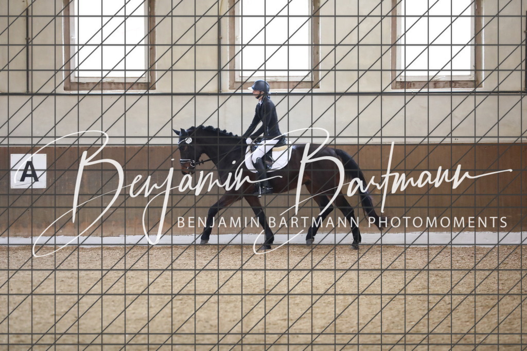 AZ2A0089 | Benjamin Bartmann Photomoments