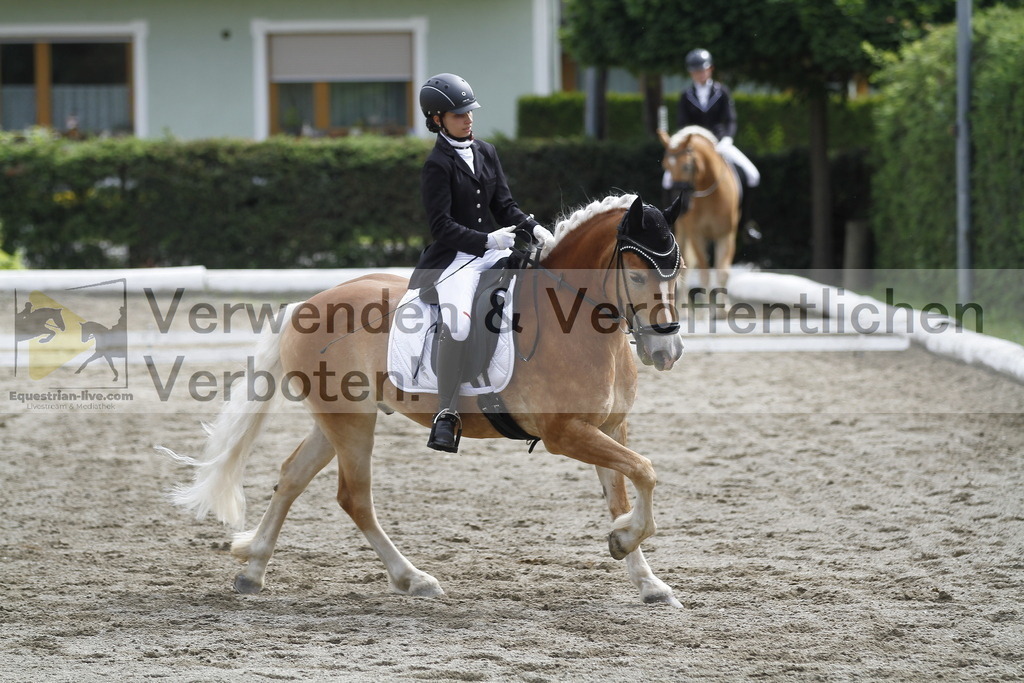 _MG_1004 | equestrian-live-com