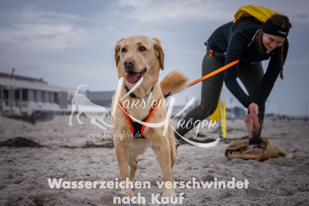 1213_ZZ92737 | kk-dogfotos