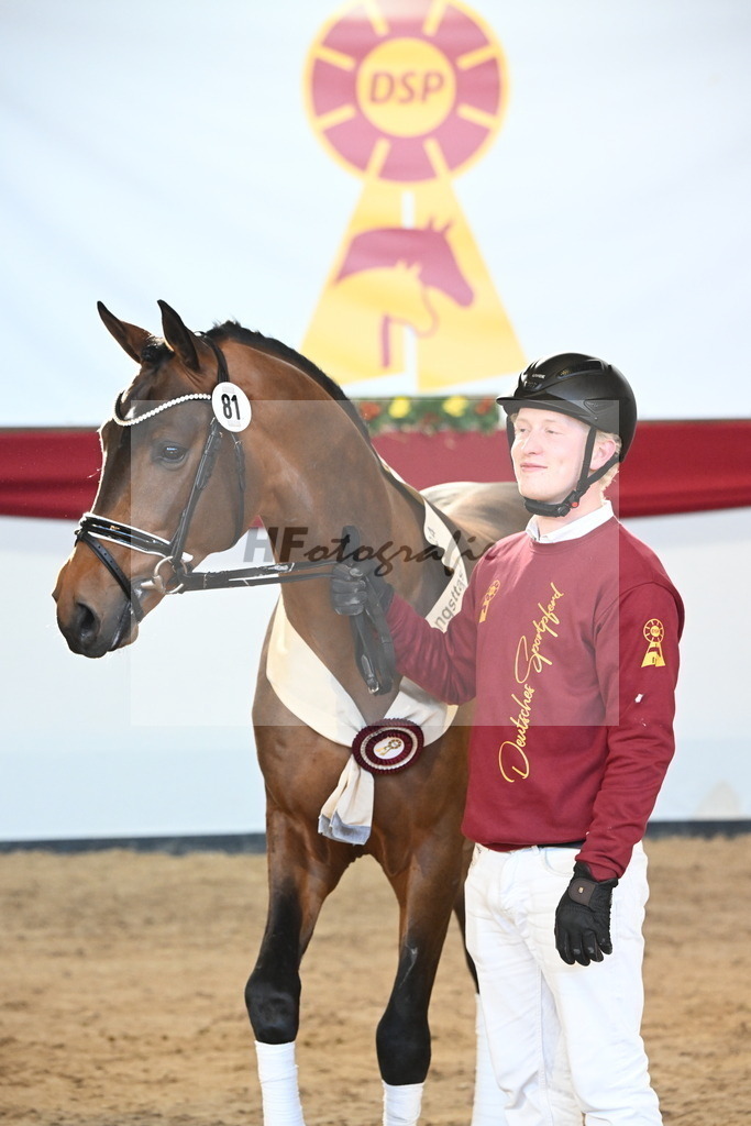 Kat.-Nr. 81 v. Vivino_Freisel_2242945 | hf-fotografie - Realisiert mit Pictrs.com