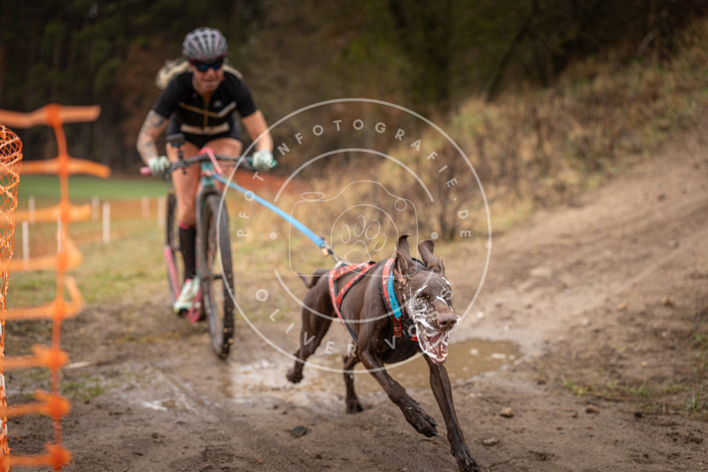 DV3A9289 | Hundefotografie, Tierfotograf, Pfotenfotografie, Fotoshooting Hund, Hunde Portrait, Hundesport, Hundeportraits, Heideshooting, Hunde, Sportfotograf, Hundefotograf, Turnierhundsport, THS,  - Realisiert mit Pictrs.com