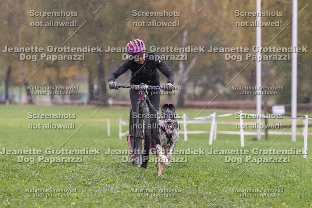 Dog Paparazzi - SD CaniX Championship 2025-1002 | Dog Paparazzi Jeanette Grottendiek Fotografie & Videografie - Realisiert mit Pictrs.com