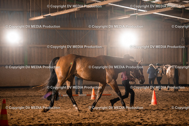 BAL01166 | dv-media-shop - Realized with Pictrs.com