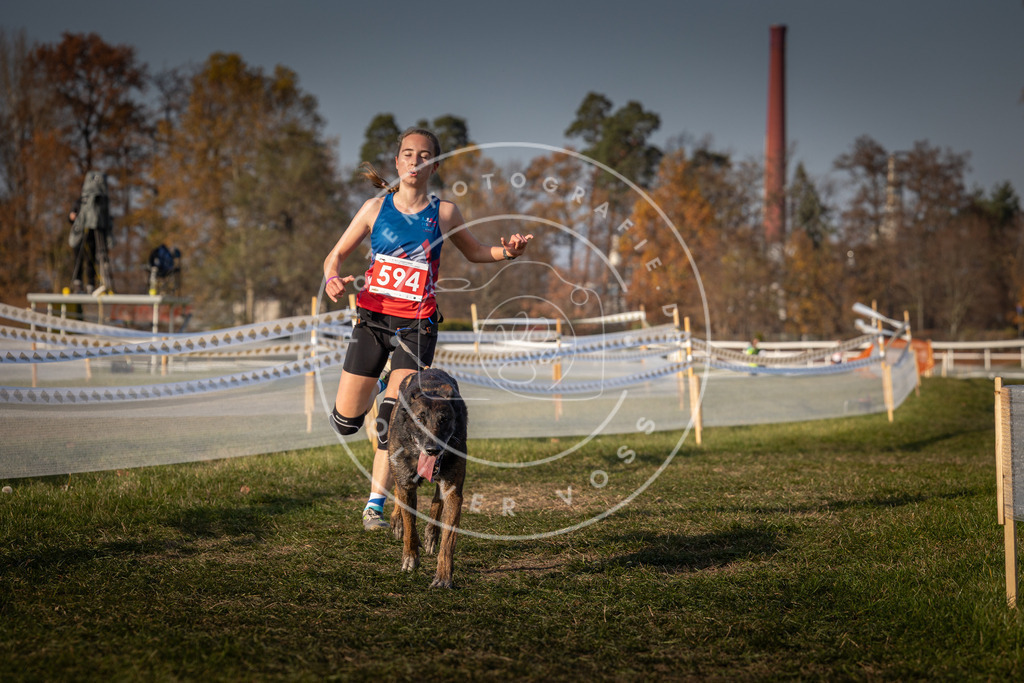 CaniXpix_0L8A9976 | Hundefotografie, Tierfotograf, Pfotenfotografie, Fotoshooting Hund, Hunde Portrait, Hundesport, Hundeportraits, Heideshooting, Hunde, Sportfotograf, Hundefotograf, Turnierhundsport, THS,  - Realisiert mit Pictrs.com