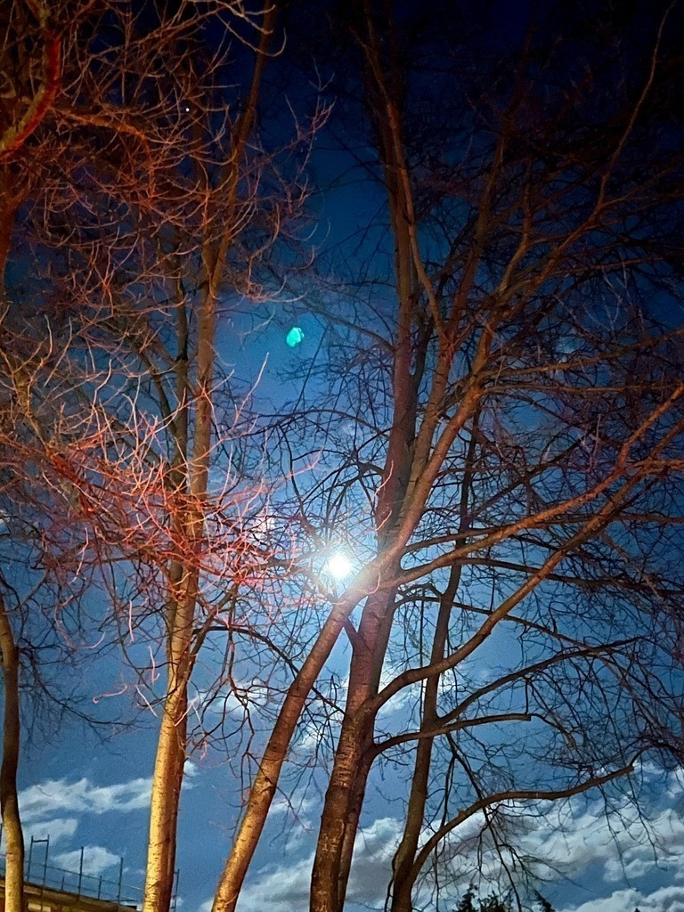 IMG_9470 | ace - Realisiert mit Pictrs.com