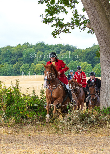 Jagd Knoop 26_MarinaHewigMCH02211 | Fotografie, FotoArt, PferdesportArt, Pferdesportfotografie, Landschaftsfotografie, Reisefotografie, Reise, Pferde - Realisiert mit Pictrs.com