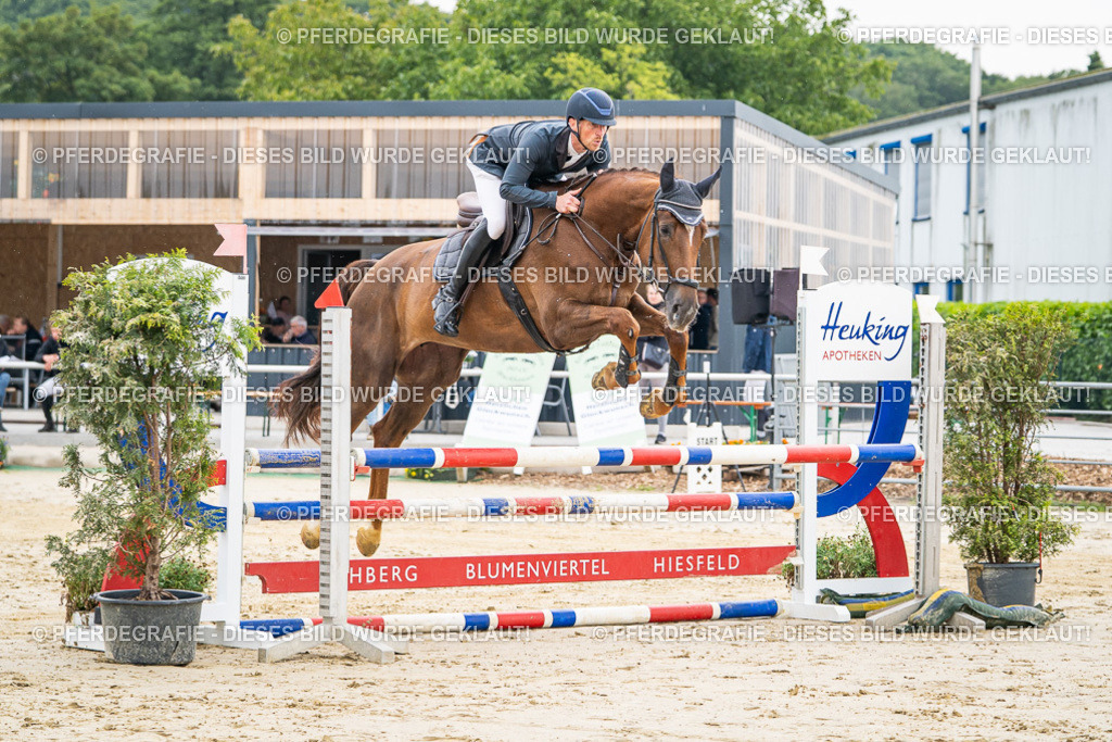 DSC09324 | Pferdegrafie