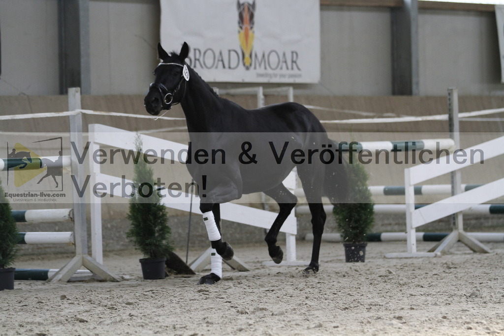 _MG_9872 | equestrian-live-com