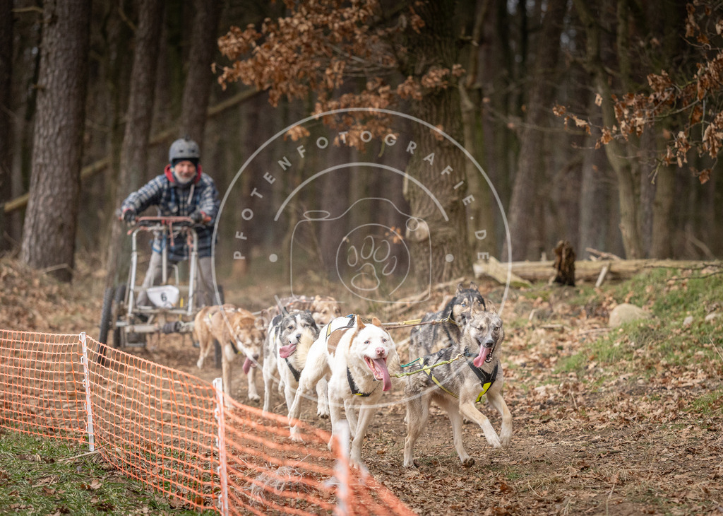 Pfotenfotografie_DV3A2245 | Hundefotografie, Tierfotograf, Pfotenfotografie, Fotoshooting Hund, Hunde Portrait, Hundesport, Hundeportraits, Heideshooting, Hunde, Sportfotograf, Hundefotograf, Turnierhundsport, THS,  - Realisiert mit Pictrs.com