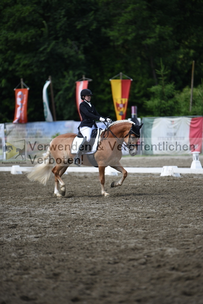 DSC_0579 | equestrian-live-com