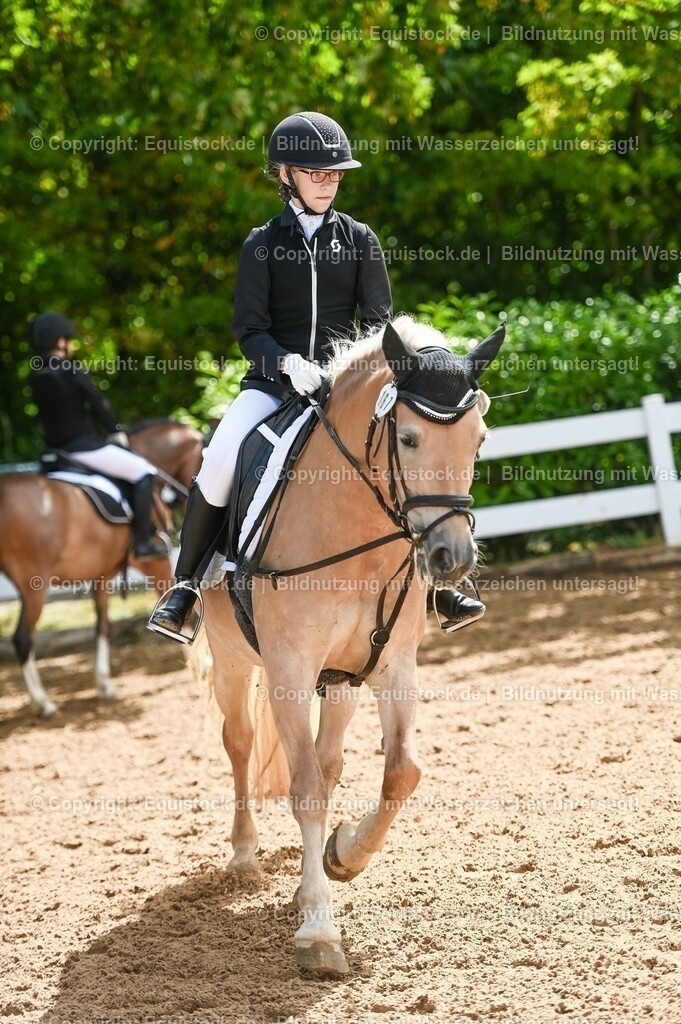 20230716_10-3_Reiter-WB Schritt - Trab - Galopp_0089 | equistock