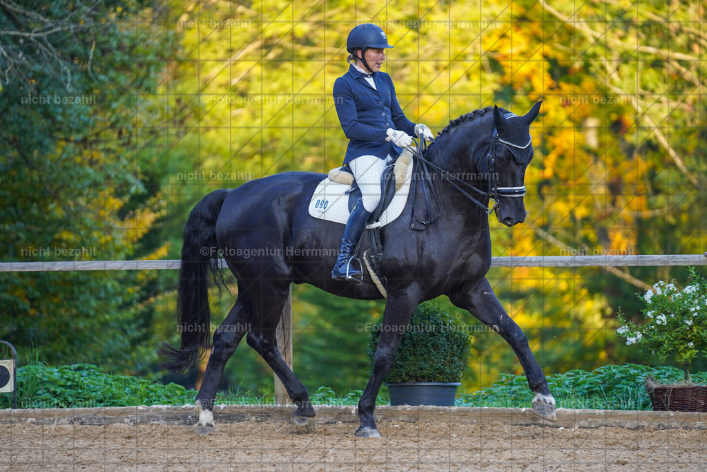 20221007-FAH00555 | Diessen am Ammersee, 2022, Dressur- und Springturnier, Reitsportbilder, Turnierfotografen Bayern, Pferdefotografen, Fotoagentur Herrmann, Turnierbilder