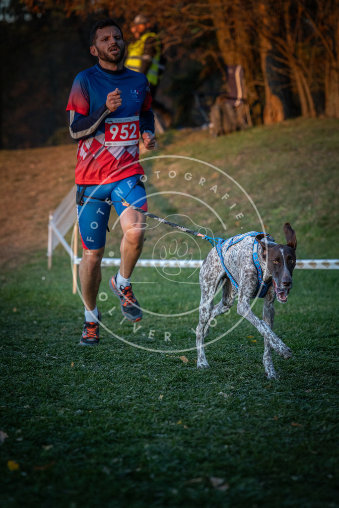 CaniXpix_0L8A2038 | Hundefotografie, Tierfotograf, Pfotenfotografie, Fotoshooting Hund, Hunde Portrait, Hundesport, Hundeportraits, Heideshooting, Hunde, Sportfotograf, Hundefotograf, Turnierhundsport, THS,  - Realisiert mit Pictrs.com
