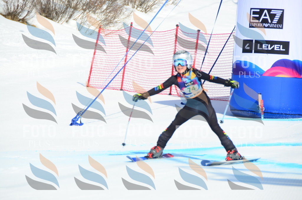 DSC_0436 | holidayphoto