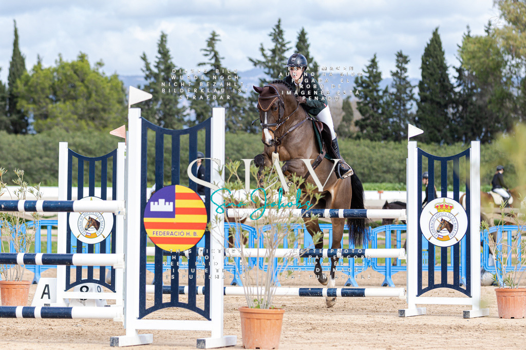 IMG_2795 | s-jay-photography - Realisiert mit Pictrs.com