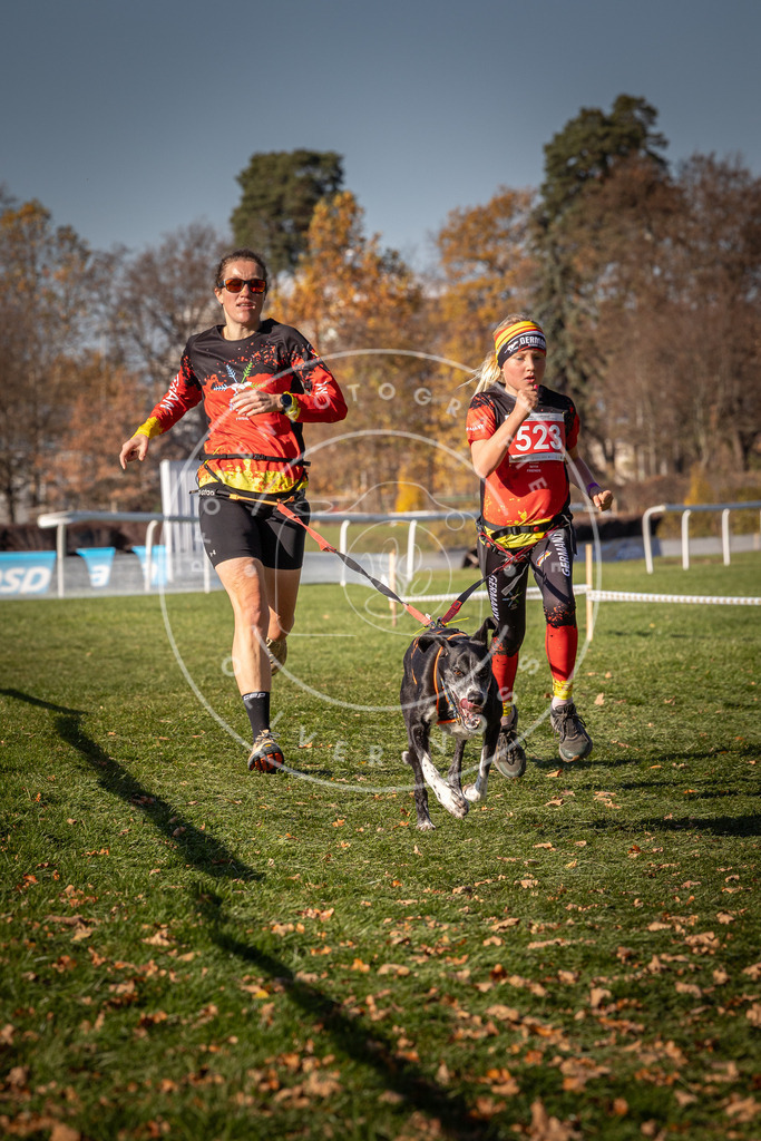 CaniXpix_0L8A7134 | Hundefotografie, Tierfotograf, Pfotenfotografie, Fotoshooting Hund, Hunde Portrait, Hundesport, Hundeportraits, Heideshooting, Hunde, Sportfotograf, Hundefotograf, Turnierhundsport, THS,  - Realisiert mit Pictrs.com