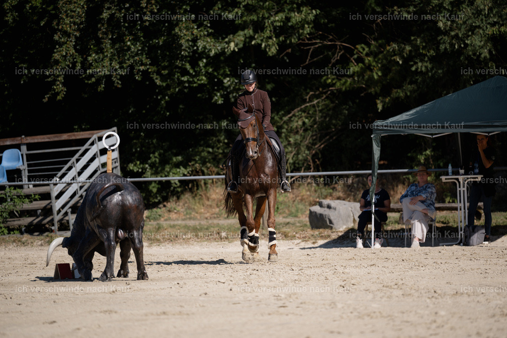 WM_ST_5_stoibphotography_SO12090 | working equitationturnier fotograf videograf stoibphotography marixx film working equitation deutschland reitsport turnierfotografie eventfotografie equestrian events