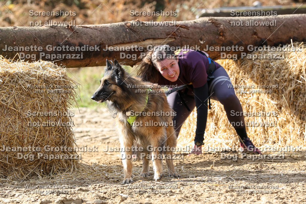 Dog Paparazzi - Strongdog 10-25-5709 | Dog Paparazzi Jeanette Grottendiek Fotografie & Videografie - Realisiert mit Pictrs.com