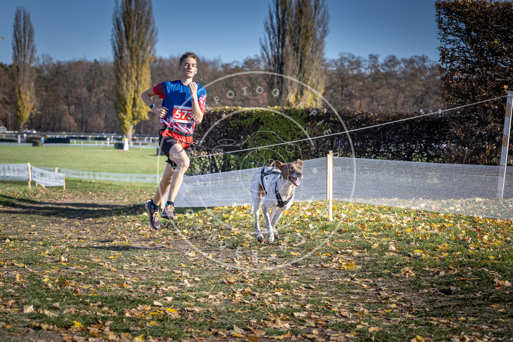 CaniXpix_DV3A8911 | Hundefotografie, Tierfotograf, Pfotenfotografie, Fotoshooting Hund, Hunde Portrait, Hundesport, Hundeportraits, Heideshooting, Hunde, Sportfotograf, Hundefotograf, Turnierhundsport, THS,  - Realisiert mit Pictrs.com