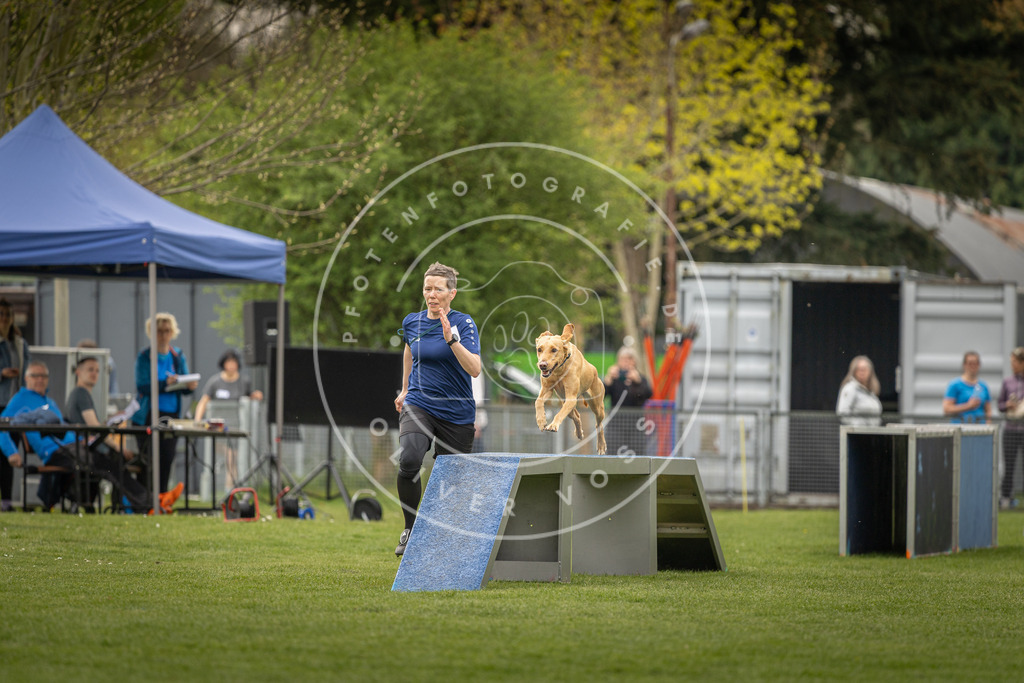 Pfotenfotografie_DV3A7016 | Hundefotografie, Tierfotograf, Pfotenfotografie, Fotoshooting Hund, Hunde Portrait, Hundesport, Hundeportraits, Heideshooting, Hunde, Sportfotograf, Hundefotograf, Turnierhundsport, THS,  - Realisiert mit Pictrs.com