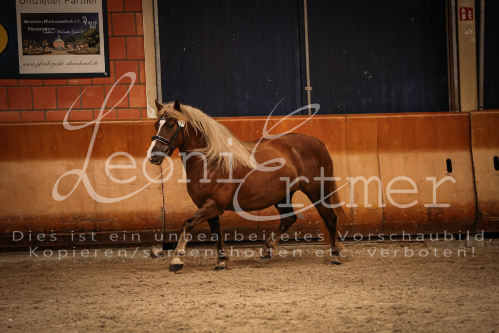 SaFL00441 | Leoni Ertmer Photography - Realisiert mit Pictrs.com