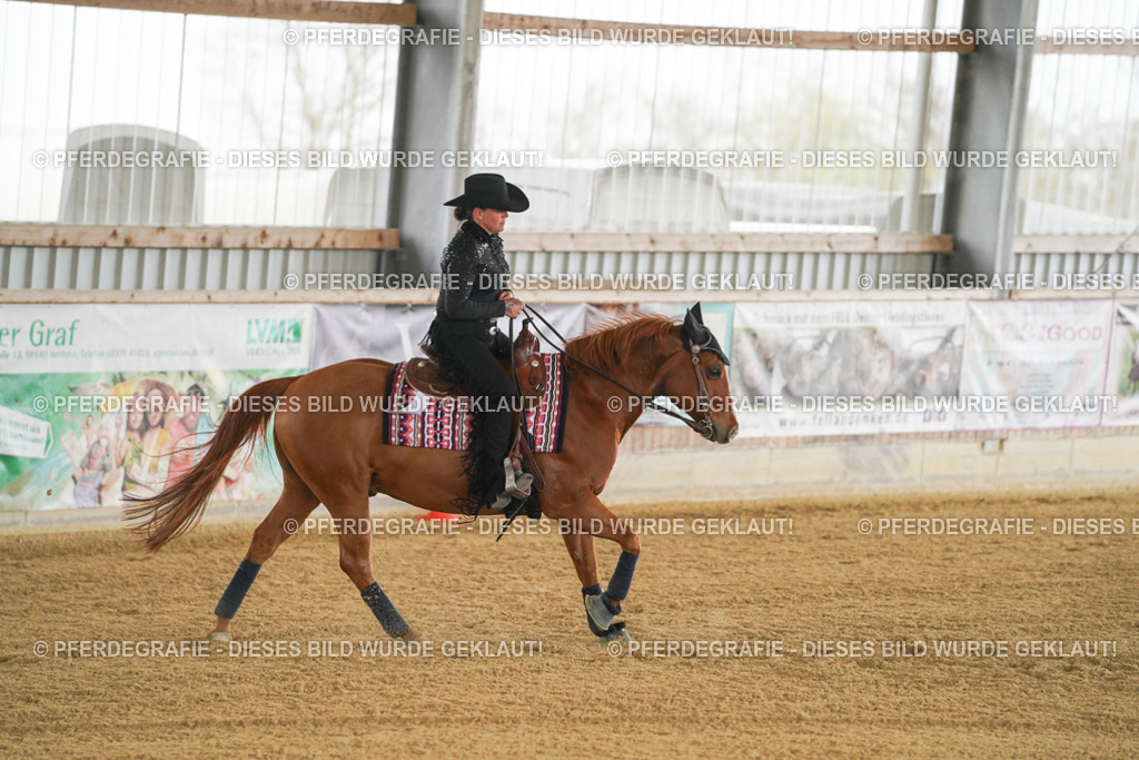 DSC07006 | Pferdegrafie