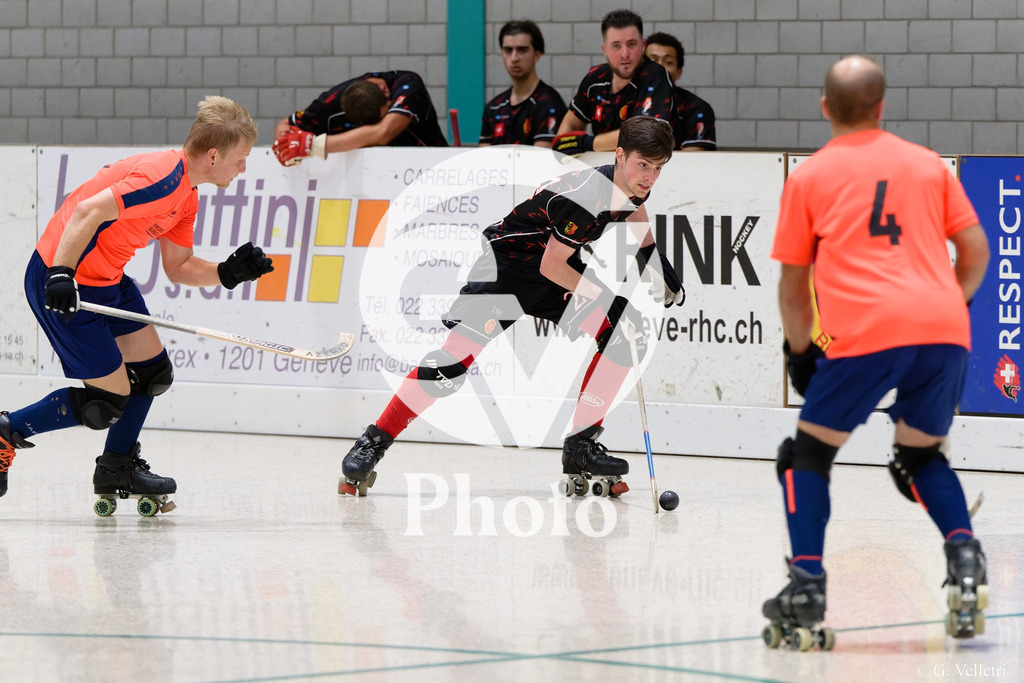 DSC_2673 | Velletri Photo